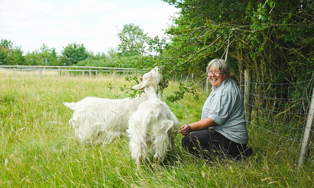 Sharon tending to the goats