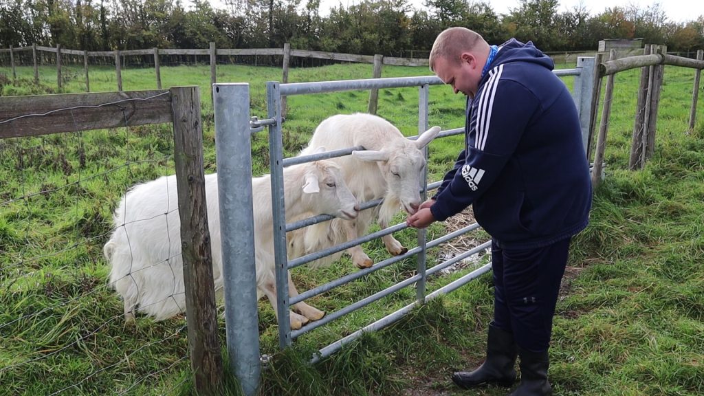 7 Reasons To Interact With Animals 4 LB with goats